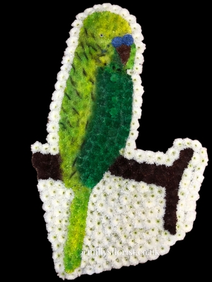 Budgie tribute