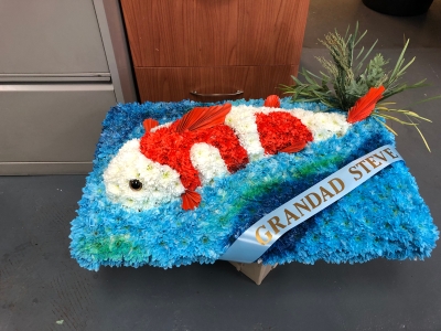 Koi Carp Fish 2D