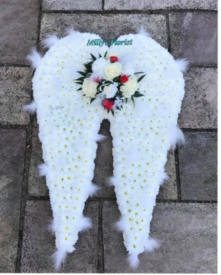 Large angel wings