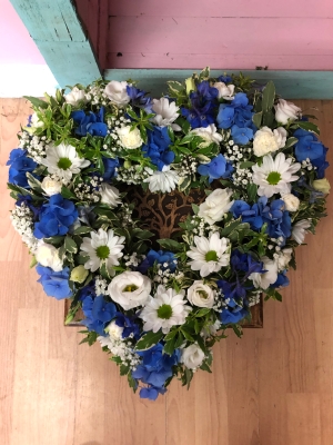 Open Heart Blue & White