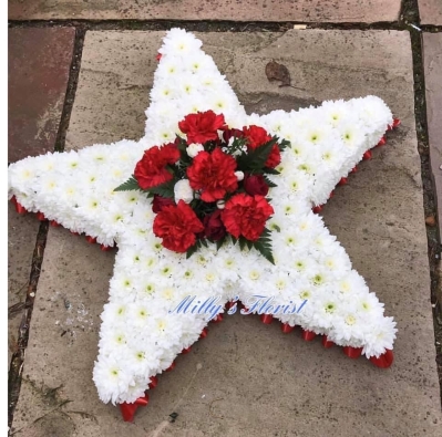 Red and white star tribute