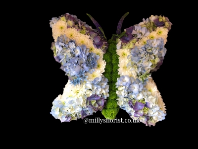 Small butterfly blue and white