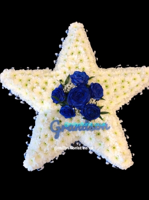 Star tribute blue and white
