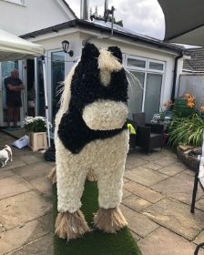 5ft 3D Horse