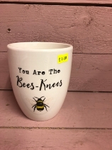 Bees knees small plant pot