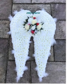 Large angel wings