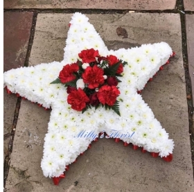 Red and white star tribute