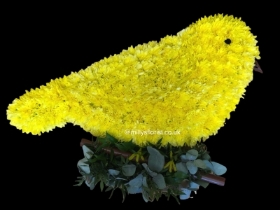 Yellow canary bird